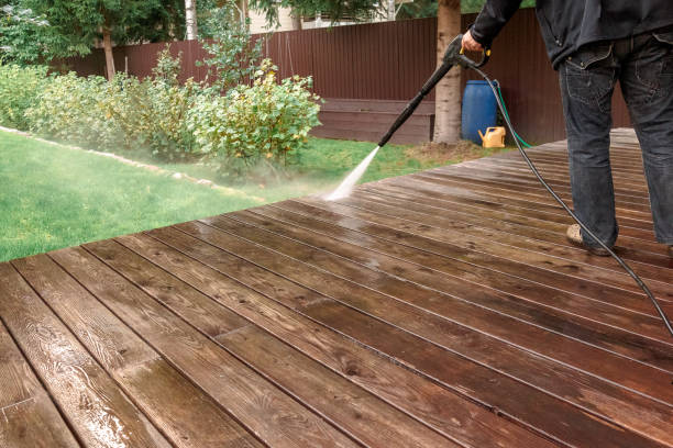 Best Fence Cleaning  in Cottonwood, MN