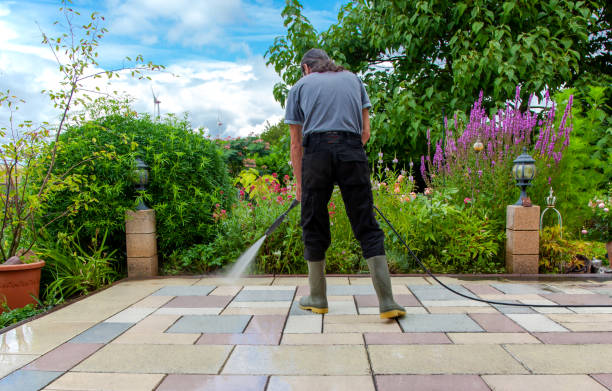Best Driveway Pressure Washing  in Cottonwood, MN